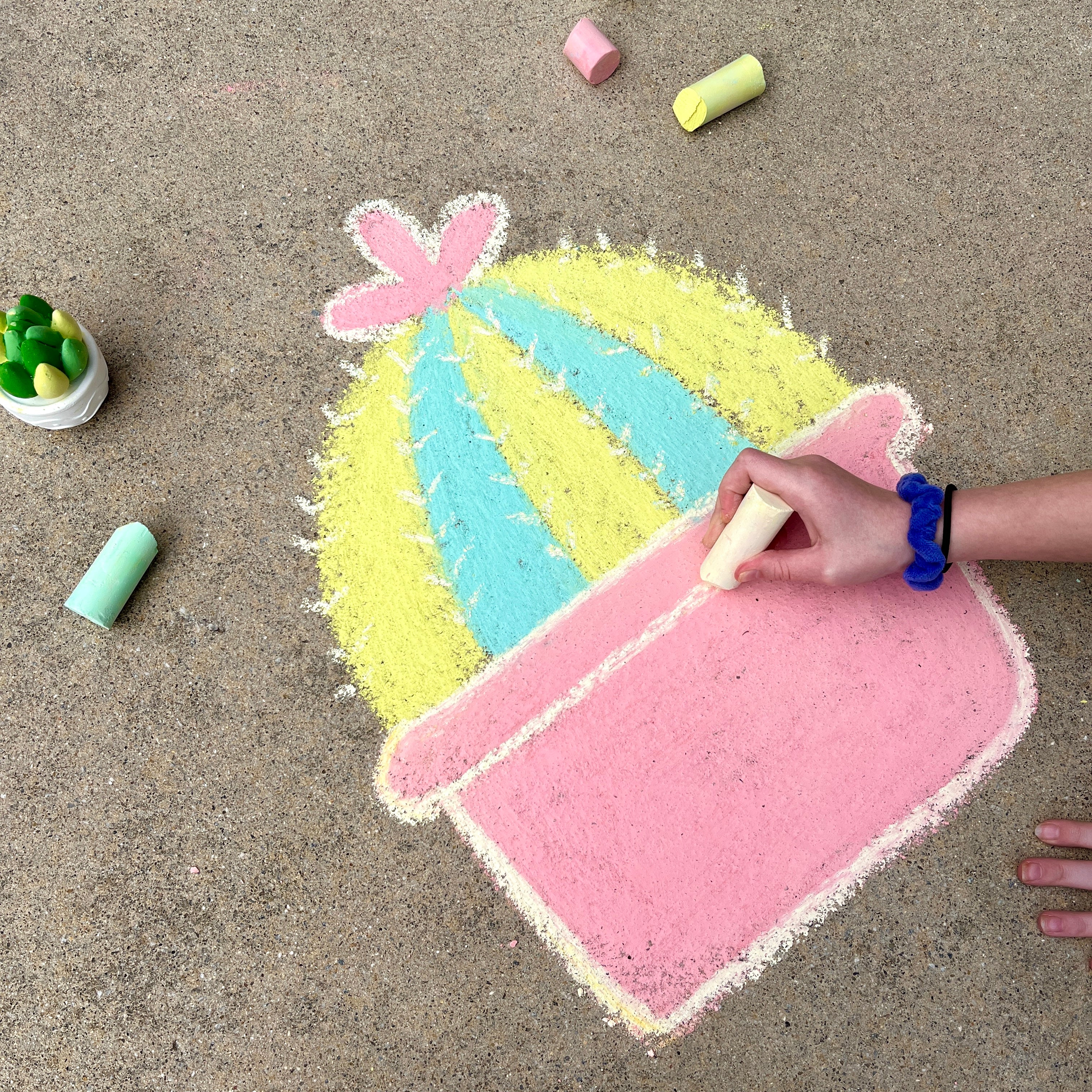 Succulent Sidewalk Chalk Kit - 30 pieces – LoddieDoddie